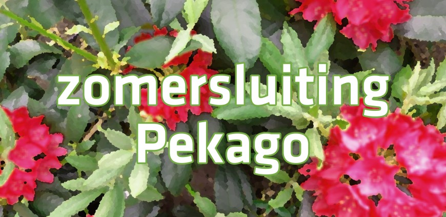 Zomersluiting bloemen 185x90.jpg