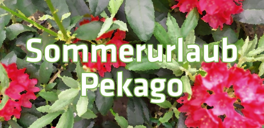 Sommerurlaub 185x90.jpg